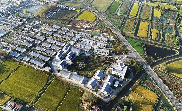 金湖：全域杉水画，农村特别美